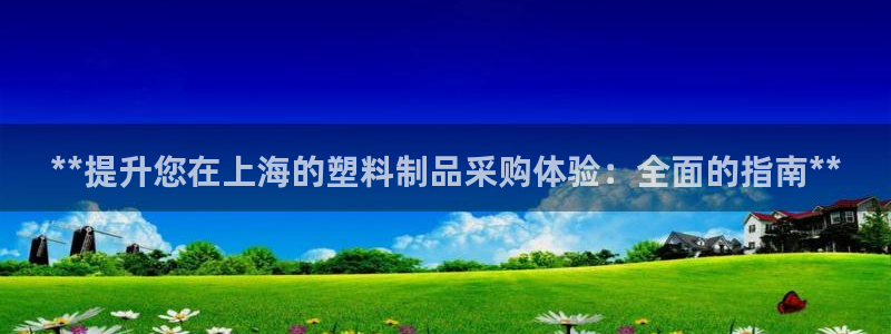 太阳科技集团：**提升您在上海的塑料制品采购体验：全面的指南