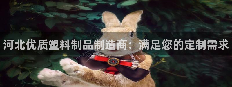 太阳集团网站古天乐代言的：河北优质塑料制品制造商：满足您的定