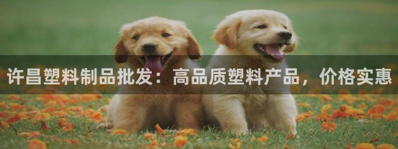 太阳集团娱：许昌塑料制品批发：高品质塑料产品，价格实惠