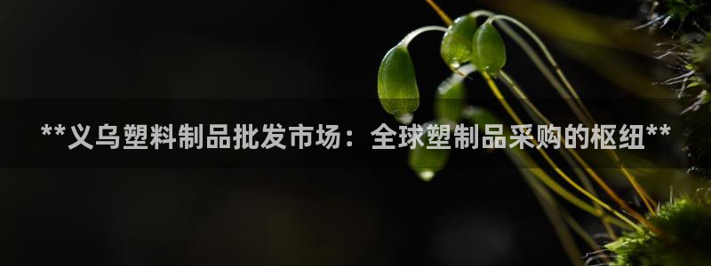 太阳集团网站5017：**义乌塑料制品批发市场：全球塑制品采