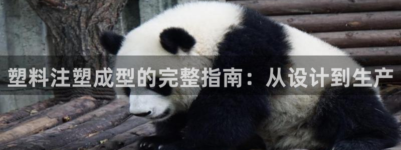 122cc太阳集成游戏：塑料注塑成型的完整指南：从设计到生产