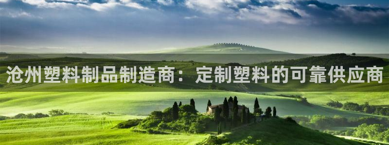 太阳成集团网址 app：沧州塑料制品制造商：定制塑料的可靠供