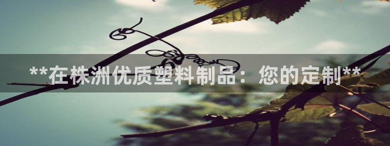 太阳集团1383：**在株洲优质塑料制品：您的定制**