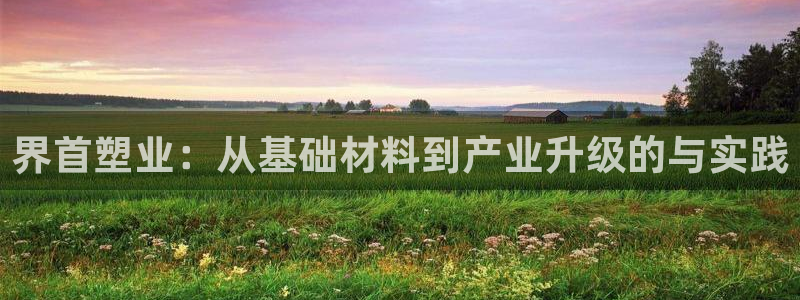 太阳集团电子游戏有限公司：界首塑业：从基础材料到产业升级的与