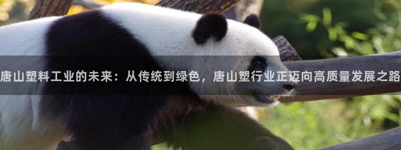 太阳集团市值：唐山塑料工业的未来：从传统到绿色，唐山塑行业正