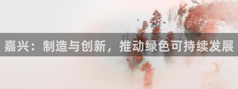 太阳影视公司：嘉兴：制造与创新，推动绿色可持续发展