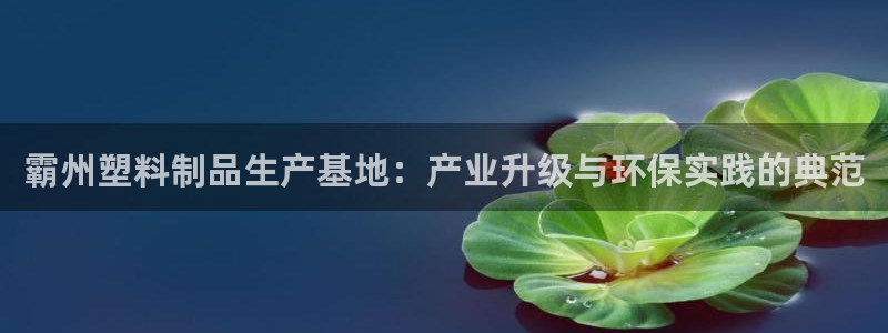 太阳集团城网：霸州塑料制品生产基地：产业升级与环保实践的典范