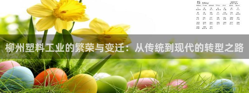 太阳集团城安卓版游戏：柳州塑料工业的繁荣与变迁：从传统到现代