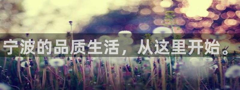 太阳成集团tyc234cc[主页]网址振兴：宁波的品质生活，