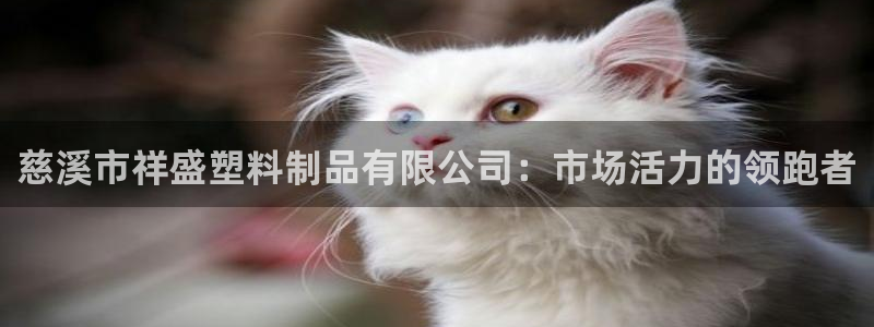 太阳成集团app下载：慈溪市祥盛塑料制品有限公司：市场活力的
