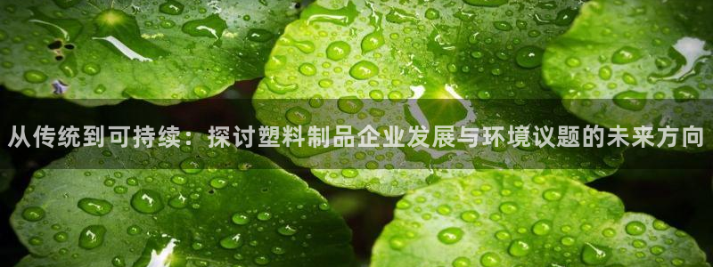 太阳集团贵宾网站：从传统到可持续：探讨塑料制品企业发展与环境
