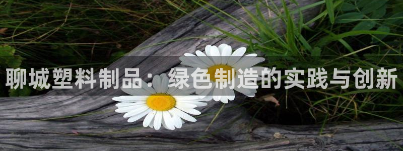 太阳游戏汉化：聊城塑料制品：绿色制造的实践与创新