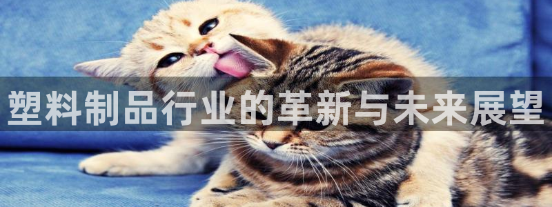 太阳集团电子游戏APP登录入口：塑料制品行业的革新与未来展望