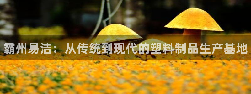 太阳集团城官网：霸州易洁：从传统到现代的塑料制品生产基地