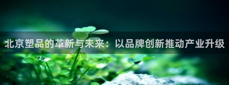 太阳1城集团网址：北京塑品的革新与未来：以品牌创新推动产业升