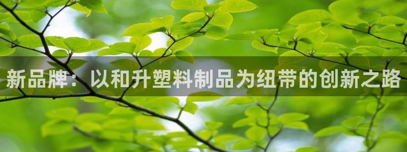 太阳游戏城app：新品牌：以和升塑料制品为纽带的创新之路