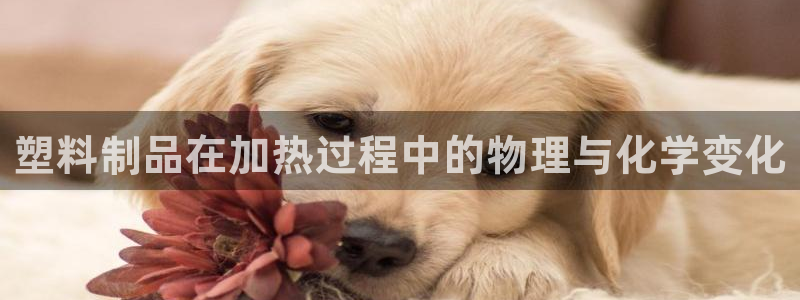 太阳集团城官网：塑料制品在加热过程中的物理与化学变化
