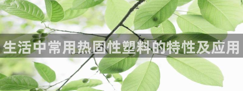 太阳集团电子游戏官方网站：生活中常用热固性塑料的特性及应用