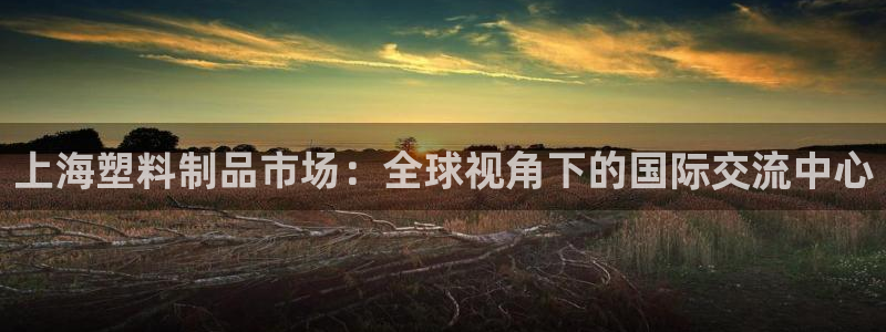 太阳2平台app下载：上海塑料制品市场：全球视角下的国际交流