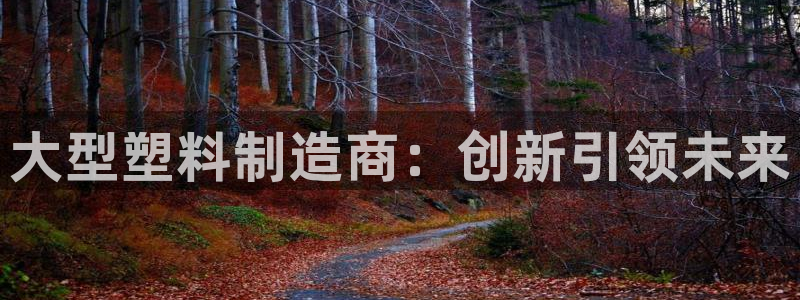 太阳成集团是什么：大型塑料制造商：创新引领未来