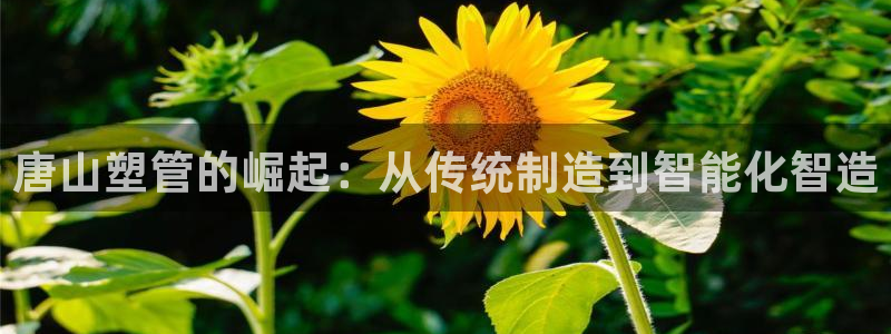 太阳成集团娱乐网站：唐山塑管的崛起：从传统制造到智能化智造