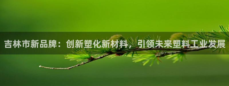 太阳成集团百度百科：吉林市新品牌：创新塑化新材料，引领未来塑