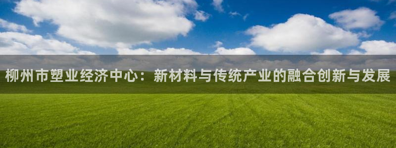 太阳集团电子游戏官网：柳州市塑业经济中心：新材料与传统产业的