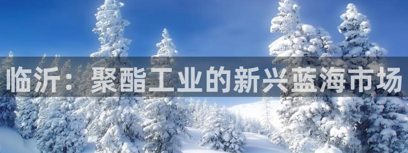 太阳gg娱选_2o5o26：临沂：聚酯工业的新兴蓝海市场