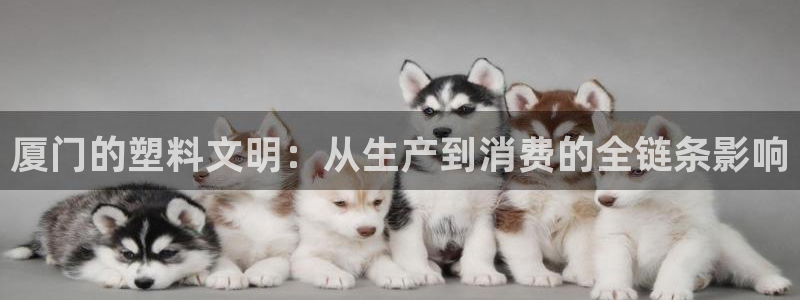 太阳集团游戏城旧版：厦门的塑料文明：从生产到消费的全链条影响