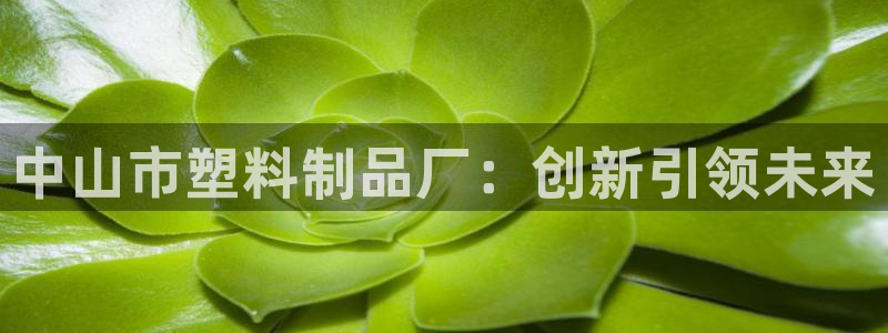 太阳集团是什么公司旗下的：中山市塑料制品厂：创新引领未来