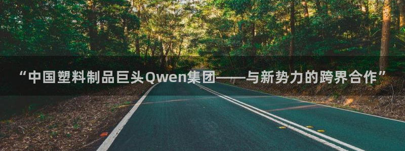 太阳老板身价：“中国塑料制品巨头Qwen集团——与新势力的跨