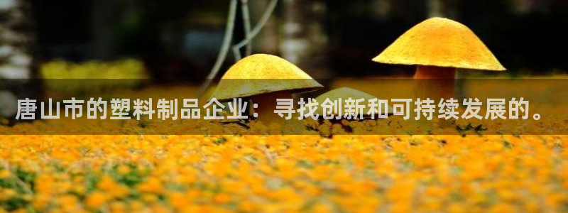 太阳成集团是干嘛的：唐山市的塑料制品企业：寻找创新和可持续发