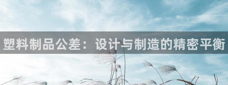 太阳集团城网站：塑料制品公差：设计与制造的精密平衡
