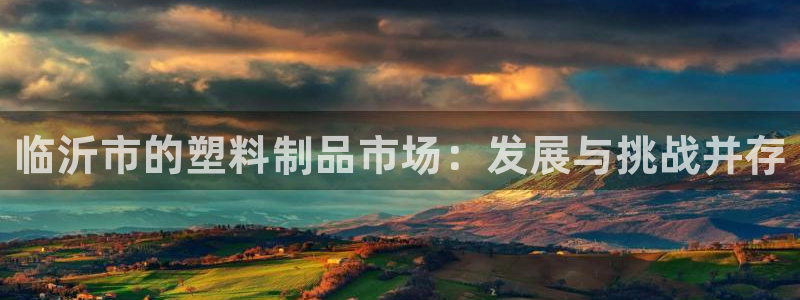 太阳集团游戏官方网址：临沂市的塑料制品市场：发展与挑战并存
