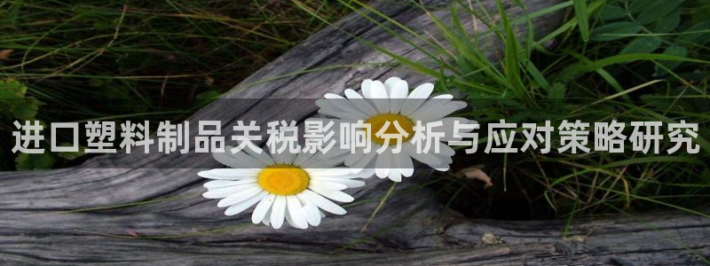 太阳集团的法人代表：进口塑料制品关税影响分析与应对策略研究