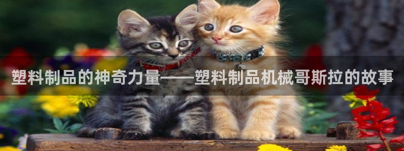 太阳集团2021备用网址：塑料制品的神奇力量——塑料制品机械