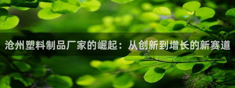 太阳集团78566备用网址：沧州塑料制品厂家的崛起：从创新到