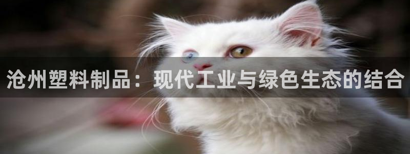 太阳成集团下载：沧州塑料制品：现代工业与绿色生态的结合