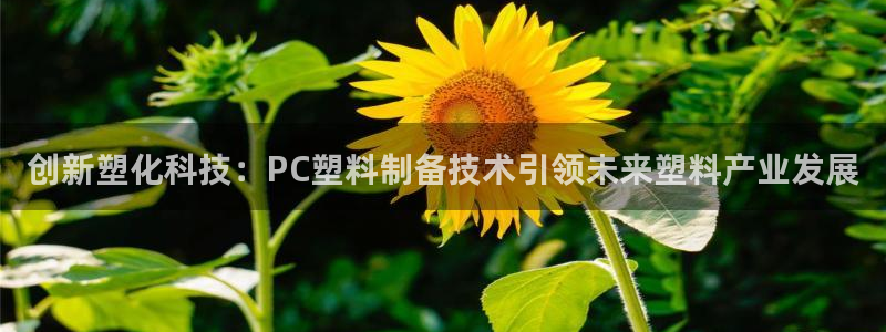 澳门太阳集团老板洗米华：创新塑化科技：PC塑料制备技术引领未
