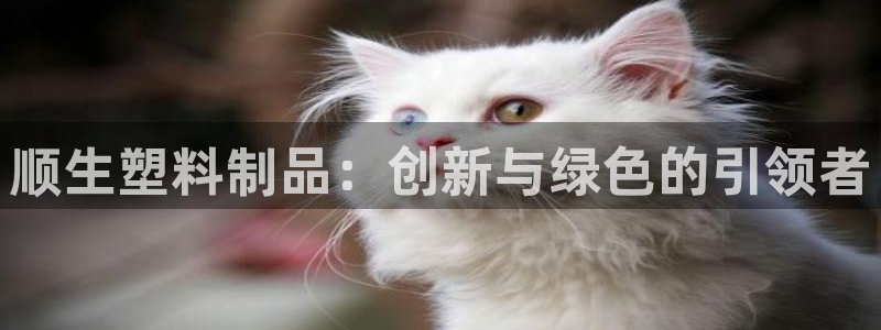太阳集团手机app下载：顺生塑料制品：创新与绿色的引领者