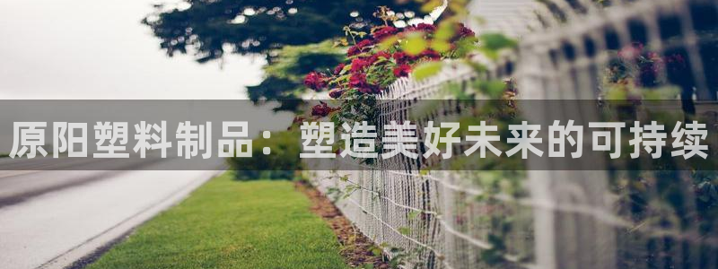 太阳成集团网站6888：原阳塑料制品：塑造美好未来的可持续