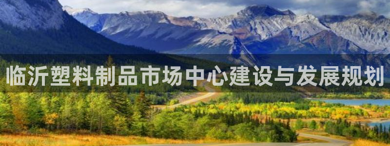 太阳成集团电子游戏：临沂塑料制品市场中心建设与发展规划