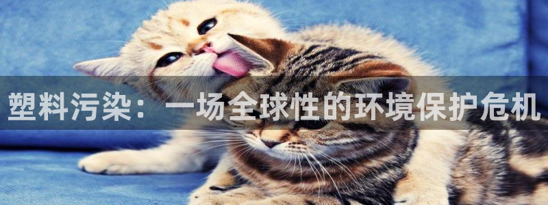 太阳集团官网导航首页：塑料污染：一场全球性的环境保护危机