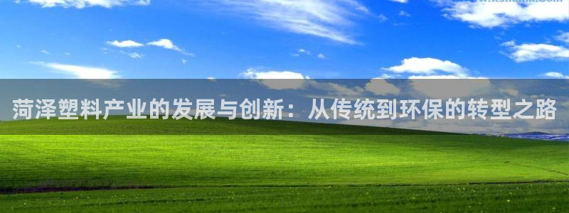 太阳成集团百度百科：菏泽塑料产业的发展与创新：从传统到环保的