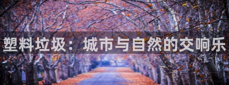 太阳2平台网站：塑料垃圾：城市与自然的交响乐