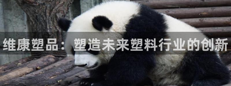太阳集团电子游戏官网：维康塑品：塑造未来塑料行业的创新