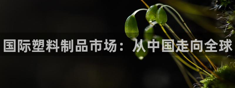古天乐太阳集团广告：国际塑料制品市场：从中国走向全球