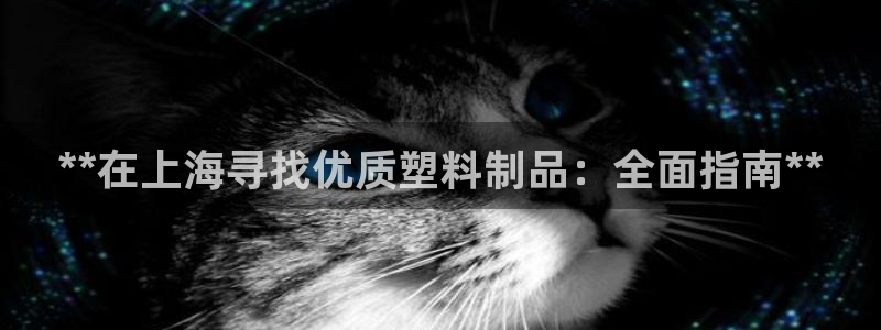 古天乐代言的太阳集团城网址：**在上海寻找优质塑料制品：全面