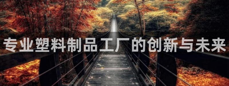 太阳gg登录：专业塑料制品工厂的创新与未来