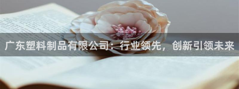 太阳成集团app：广东塑料制品有限公司：行业领先，创新引领未